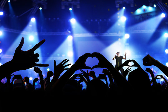 Silhouette of a crowd of cheering fans during a live concert, li