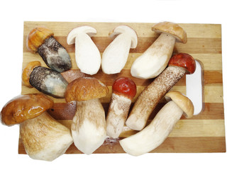 fresh mushrooms on cutting board