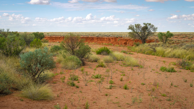 Outback Landschaft in den Flinders Ranges in Australien