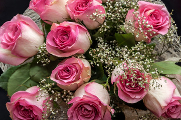 pink roses bouquet
