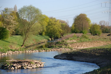 Renaturierte Nidda in Karben 