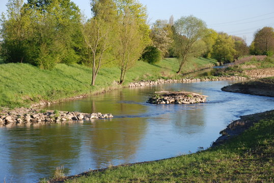 Renaturierte Nidda in Karben 