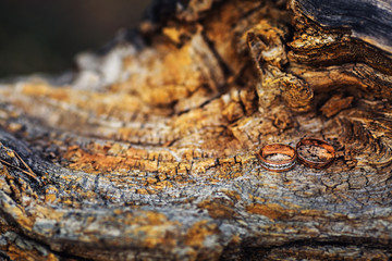 Wedding rings on a textural log, wood