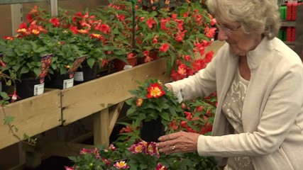 Senior woman chooses plants and flowers at garden centre