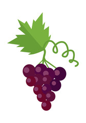 Bunch of Red Wine Grape