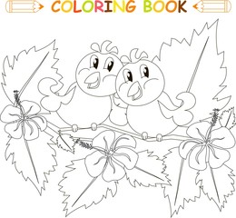 Coloring book bird couple on hibiscus branch with flowers and leafs, vector illustration