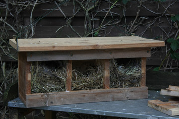 Nester im Spatzenhaus