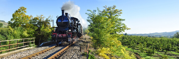 Obraz premium Treno a vapore tra campi coltivati