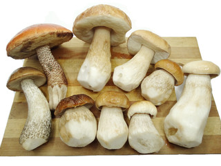 fresh mushrooms on cutting board