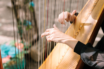 hands of the woman playing a harp. symphonic orchestra. harpist