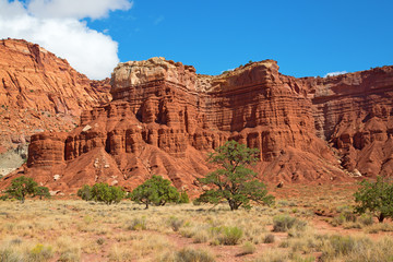Fototapeta premium Capitol Reef