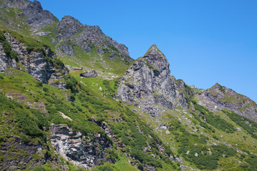 Fototapeta premium Hiking in swiss alps