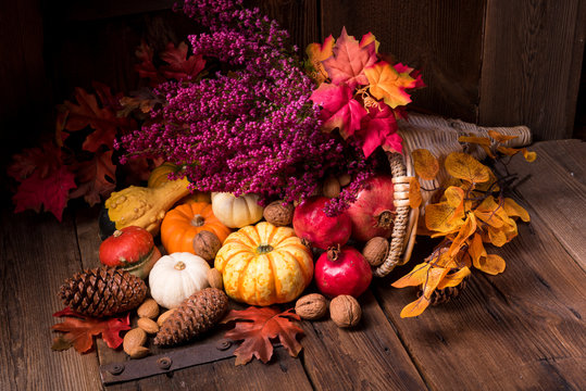 Cornucopia