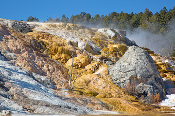Mammoth hot springs
