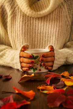 Woman hands holding teacup and autumnal foliage