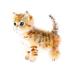 Red Kitten. Watercolor hand drawn illustration