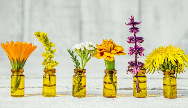 drugs herbs extract in small bottles (calendula, Basil, yarrow, dandelion, marigold, goldenrod). 