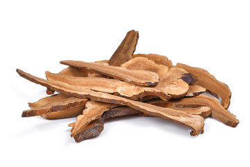 Dried lingzhi mushroom isolated on white