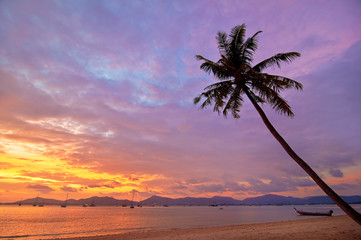 Fototapeta na wymiar Palm tree silhouette on sunset tropica Thail beach with a boat.
