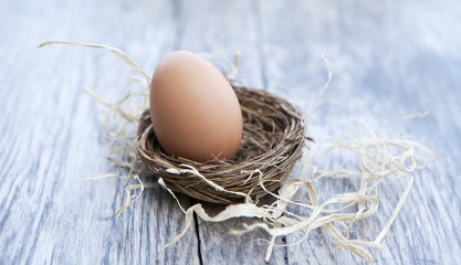 œuf dans un nid