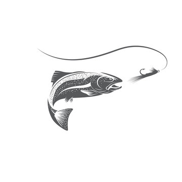 trout fish and lure vector design template