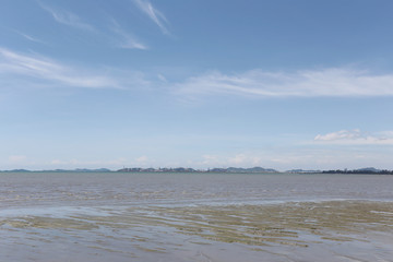 Sea coast and dry water in sunny on blue sky background.