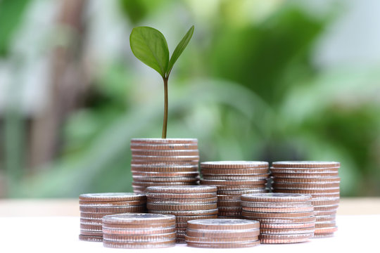 young plant grown to stack silver coin in business growth concep