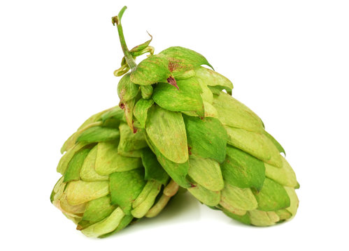 Two Hops On White