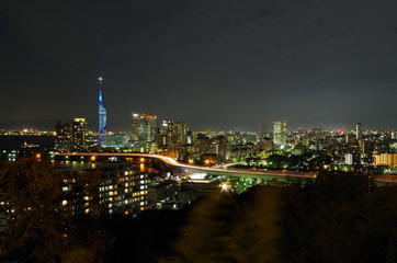 Fototapeta premium シーサイド百道夜景 愛宕神社