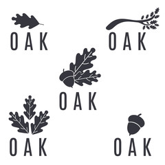 Set of logos on an oak tree with leaves and acorns.Vector illust - 123805707