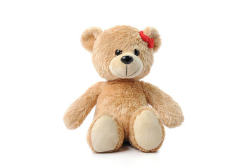 teddy bear isolated on white background