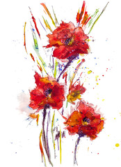  A bouquet of flowers. Hand drawn watercolor flowers.