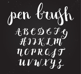 Vector Hand Drawn Script Alphabet. Letters Written with a Brush