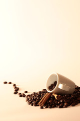 tazza bianca su chicchi di caffè e cannella