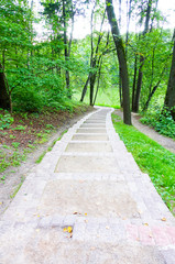 Fototapeta premium The path to the river