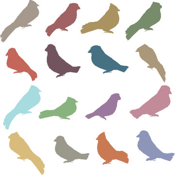 Colorful Vector Collection of Bird Silhouettes