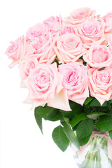 Pink blooming roses bouquet close up isolated on white background