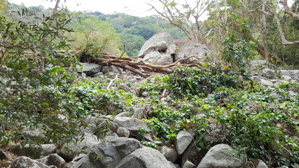 Beautiful unique landscape of Vietnam