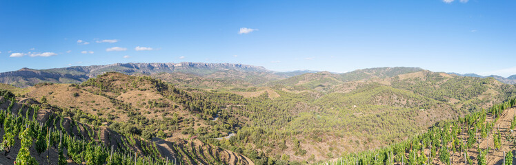Fototapeta na wymiar Panorama of the Comarca Priorat is a famous wine-growing area where the prestigious wine of the Priorat and Montsant is produced. Wine has been cultivated here since the 12th century