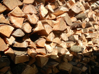 Firewood, deforestation