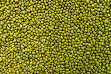 green beans texture