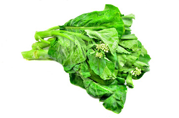 Kailan vegetable