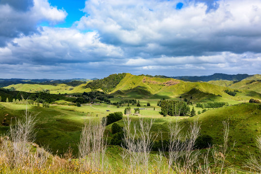 Panoramic View From Forgotten World Highway, New Zealand