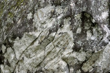 Large mountain rock backdrop
