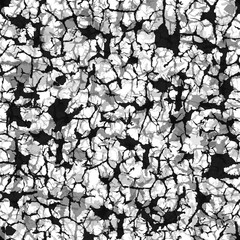 Fototapeta premium network of cracks seamless pattern