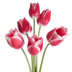 Fototapeta premium Flower bouquet isolated on white background