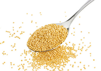 Mustard seeds in spoon isolated on white background, with clipping path