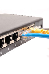 Close up of network cables connected to switch