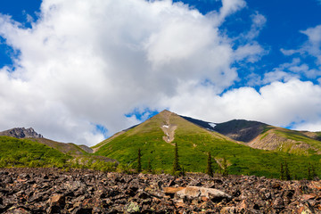 Dezadeash River Trail- Alaska Highway- Kluane National Park- Yukon- Canada. This interpretive trail includes a boardwalk, then heads up a mountainside into bear country.