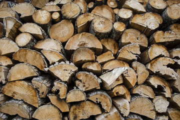 Firewood